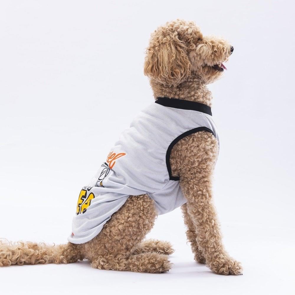 PawStar Gri Travel Büyük Irk T-Shirt