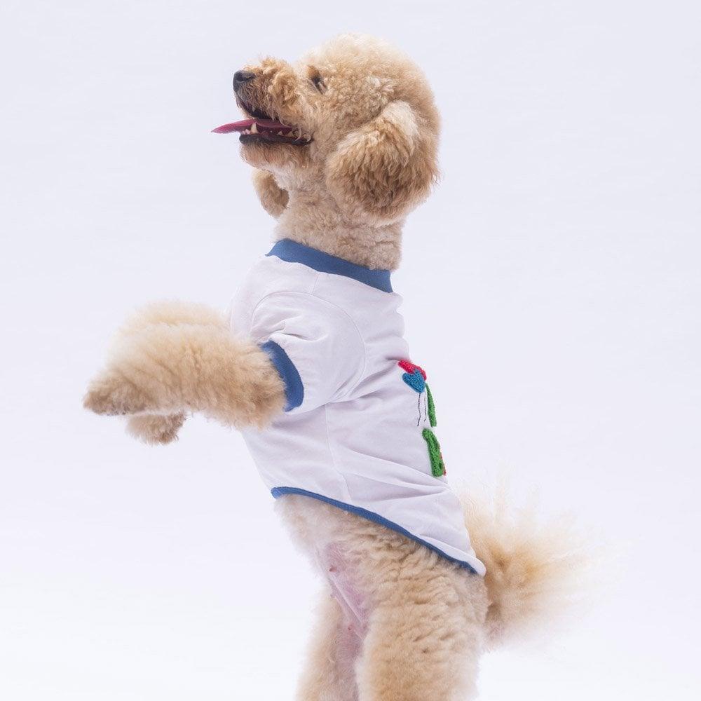 PawStar Happy Birthday Sweat
