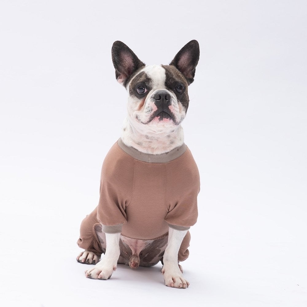 PawStar Happy Teddy Bear Pijama Tulum