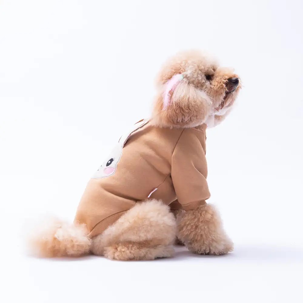 PawStar Kahverengi Dublin Hopper Sweat
