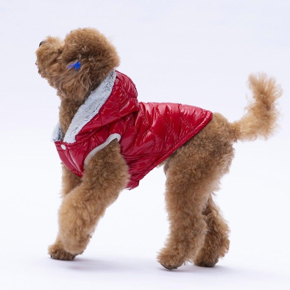 PawStar Kırmızı Light Wave Yelek Küçük ve Orta Irk