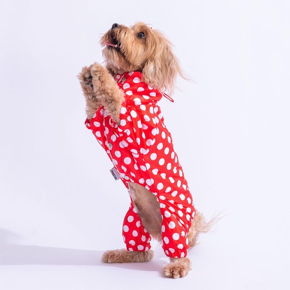PawStar Kırmızı Puantiyeli Tulum Yağmurluk Küçük ve Orta Irk