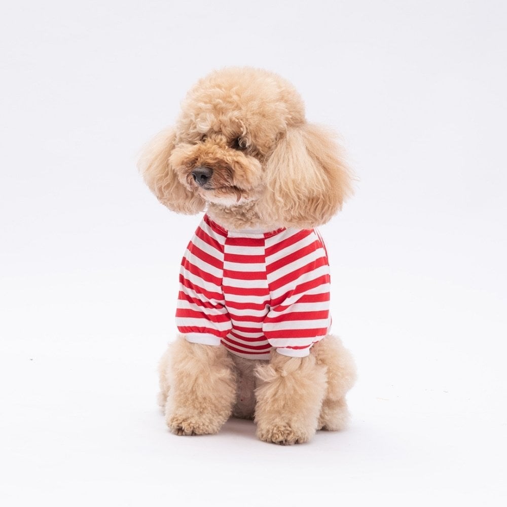 PawStar Kırmızı Winnie Küçük Irk Sweat