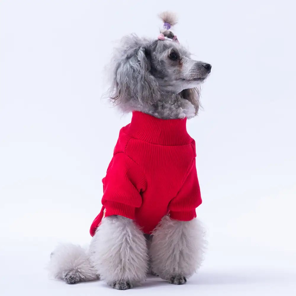PawStar Kırmızı Wow Kaşkorse Sweat