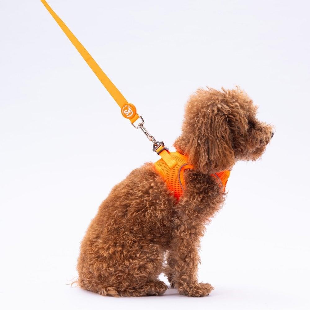 PawStar L02 Neon Turuncu Sevk Kayışı