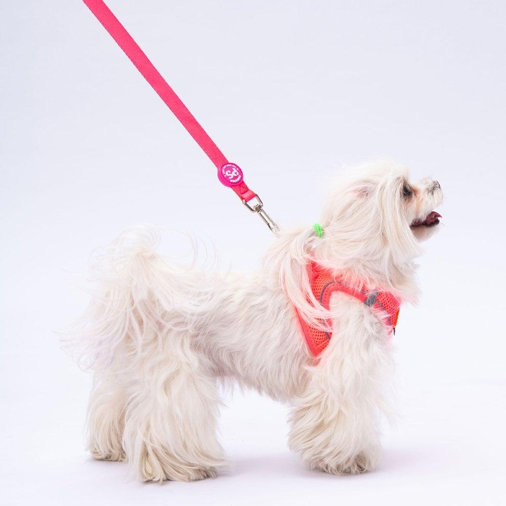 PawStar L03 Neon Pembe Sevk Kayışı