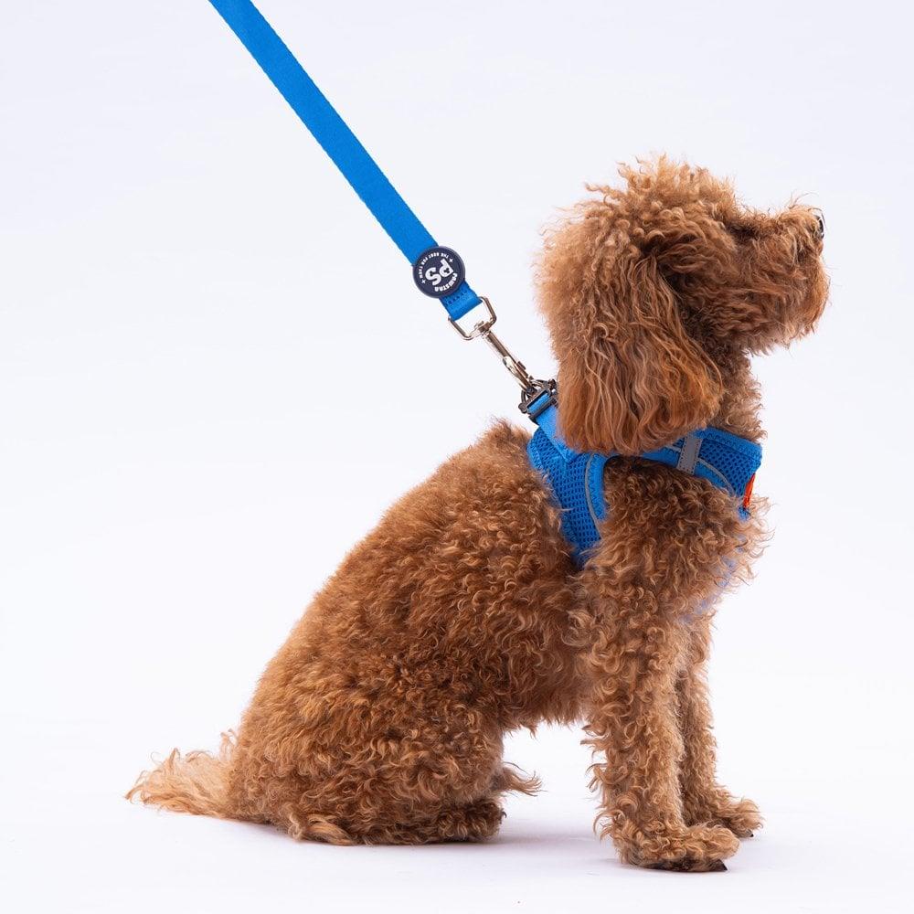 PawStar L06 Mavi Sevk Kayışı