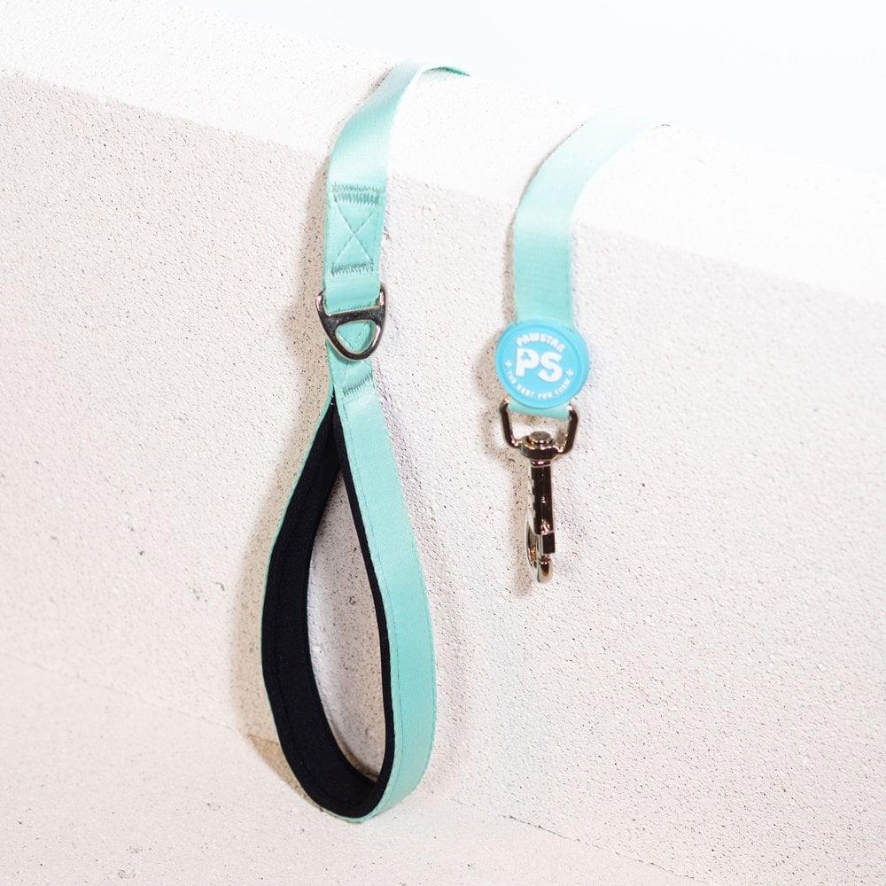 PawStar L09 Mint Sevk Kayışı