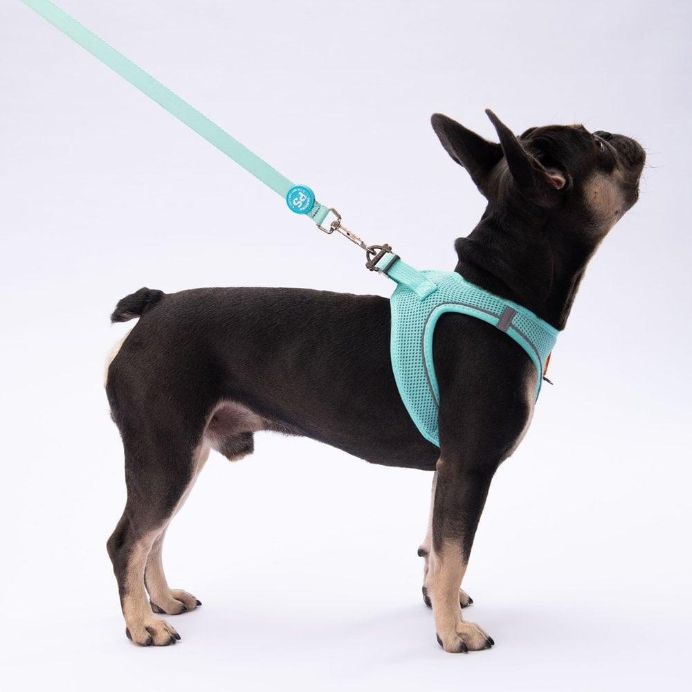 PawStar L09 Mint Sevk Kayışı