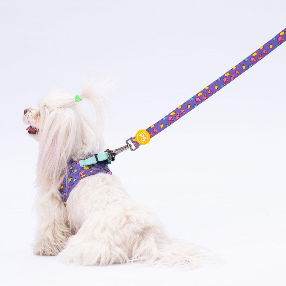 PawStar L19 Ice Cream Sevk Kayışı