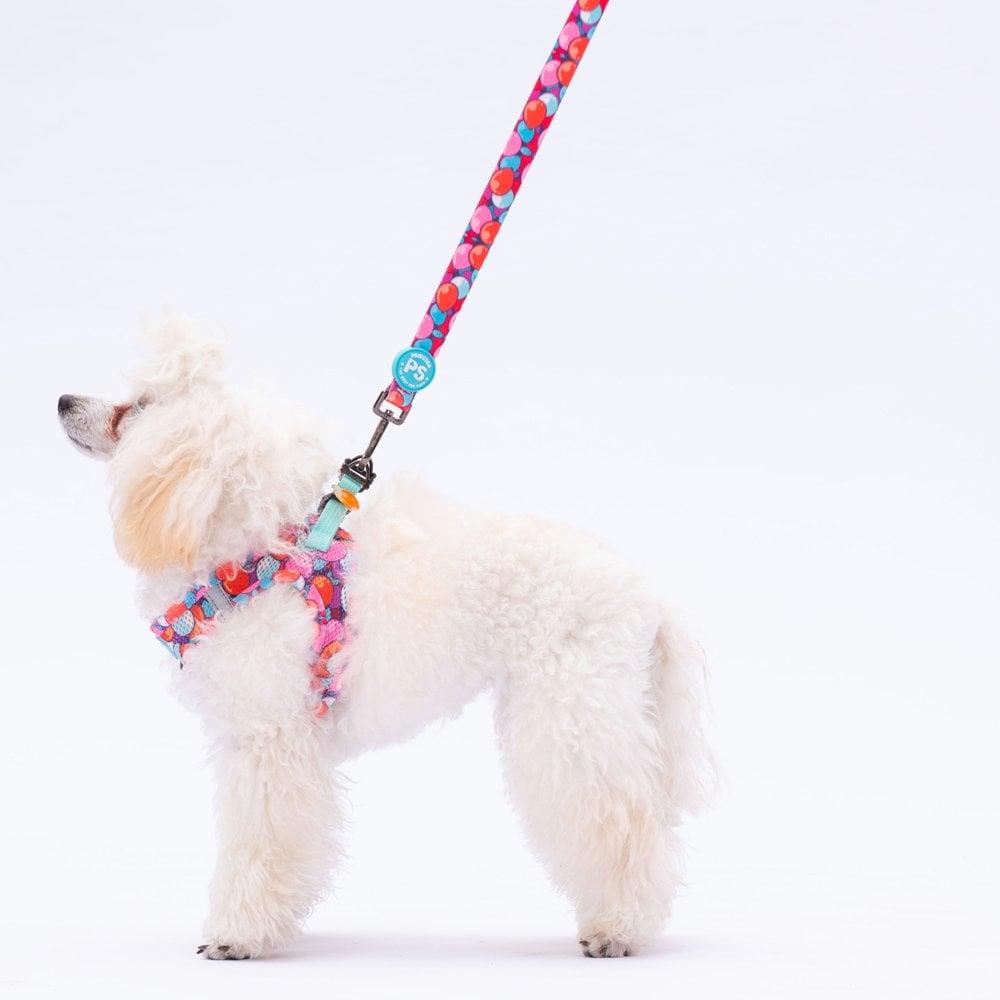 PawStar L20 Balloons Sevk Kayışı