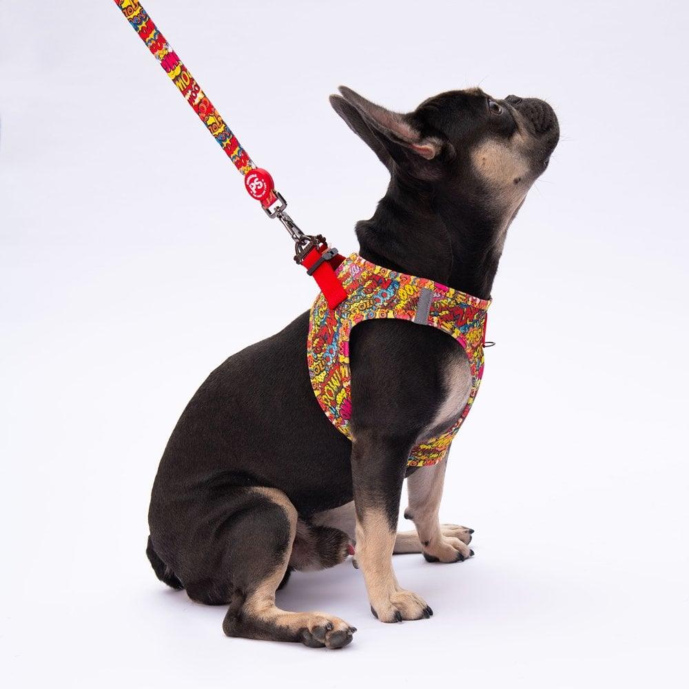 PawStar L24 Wow Sevk Kayışı