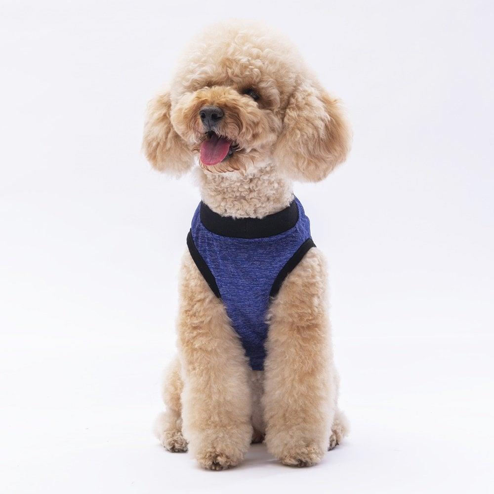 PawStar Lacivert Travel T-Shirt