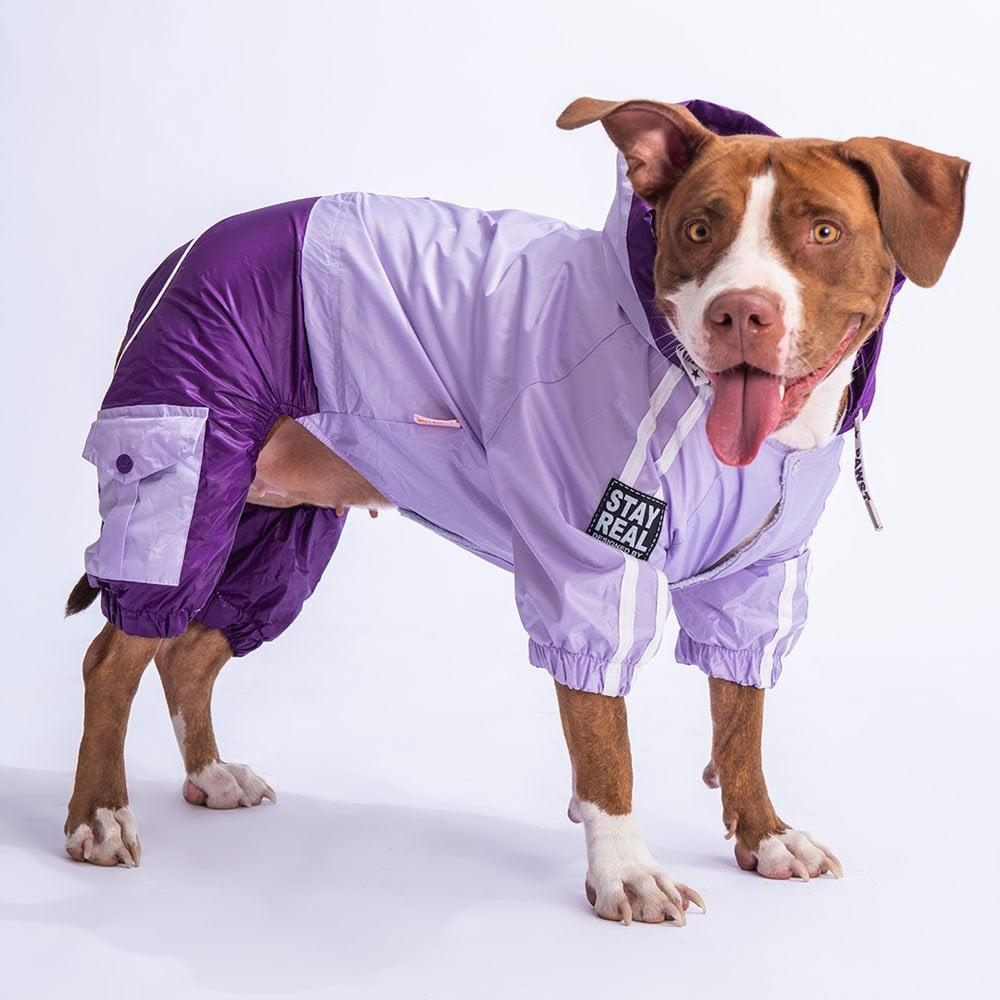 PawStar Lila Mor BiColar  Büyük Irk Yağmurluk