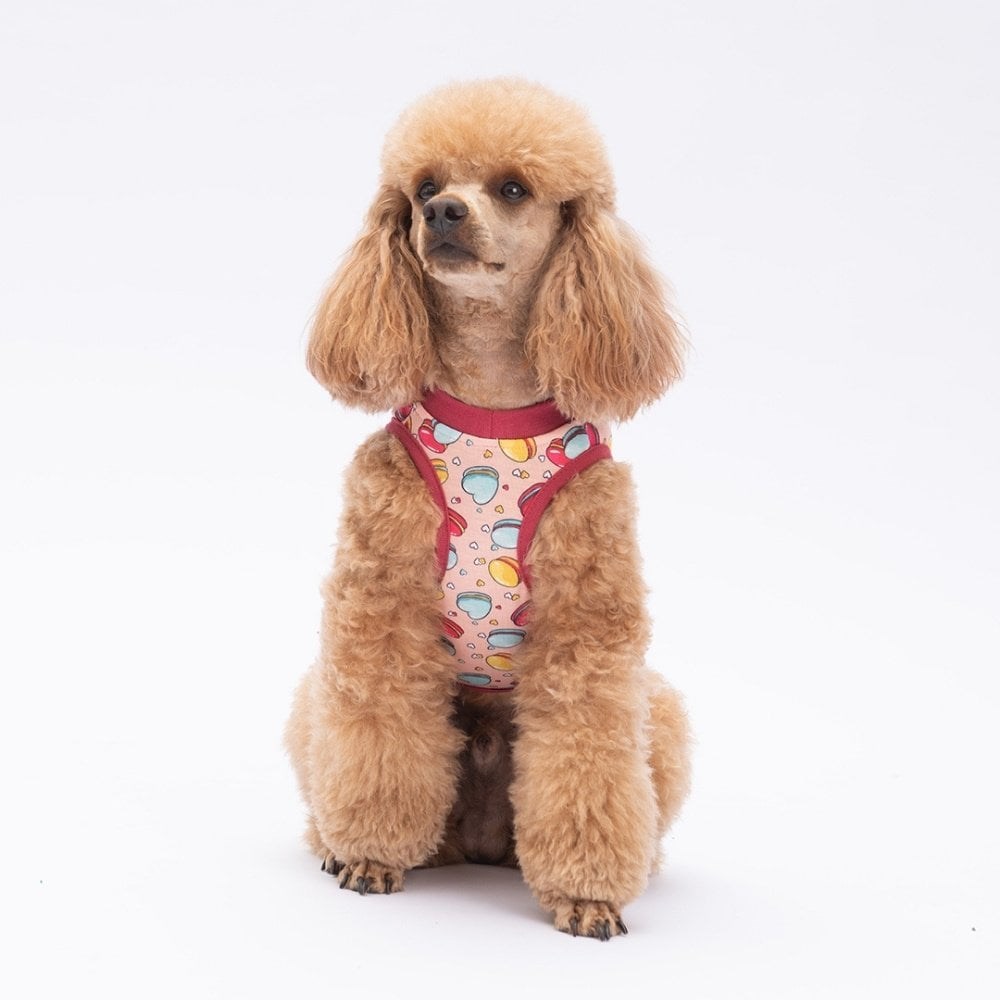 PawStar Macarons T-Shirt Küçük Irk