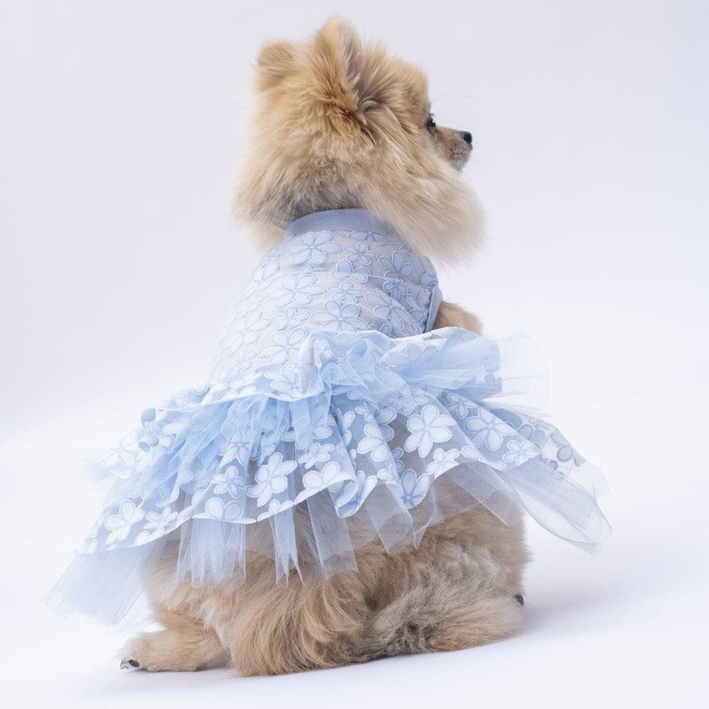 PawStar Mavi Flora Elbise
