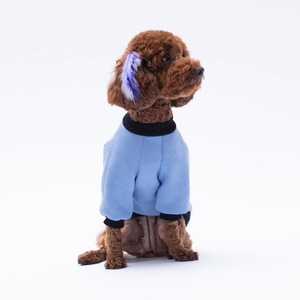 PawStar Mavi Loviisa Sweat Küçük ve Orta Irk