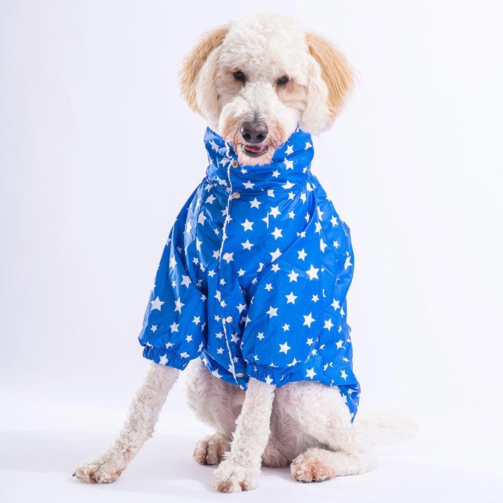 PawStar Mavi Stars Büyük Irk Yağmurluk