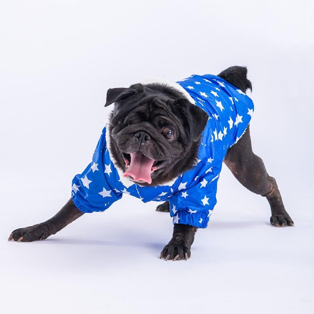 PawStar Mavi Stars Yağmurluk Küçük ve Orta Irk