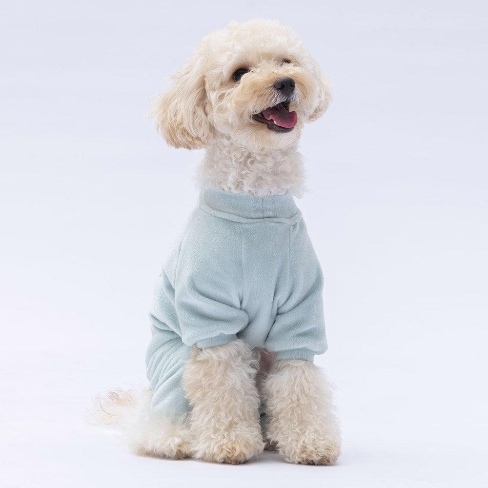 PawStar Mint Angers Tulum Küçük ve Orta Irk