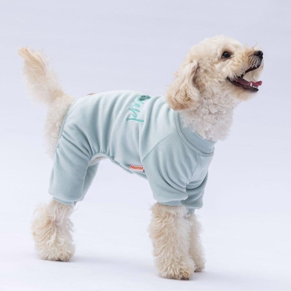 PawStar Mint Angers Tulum Küçük ve Orta Irk
