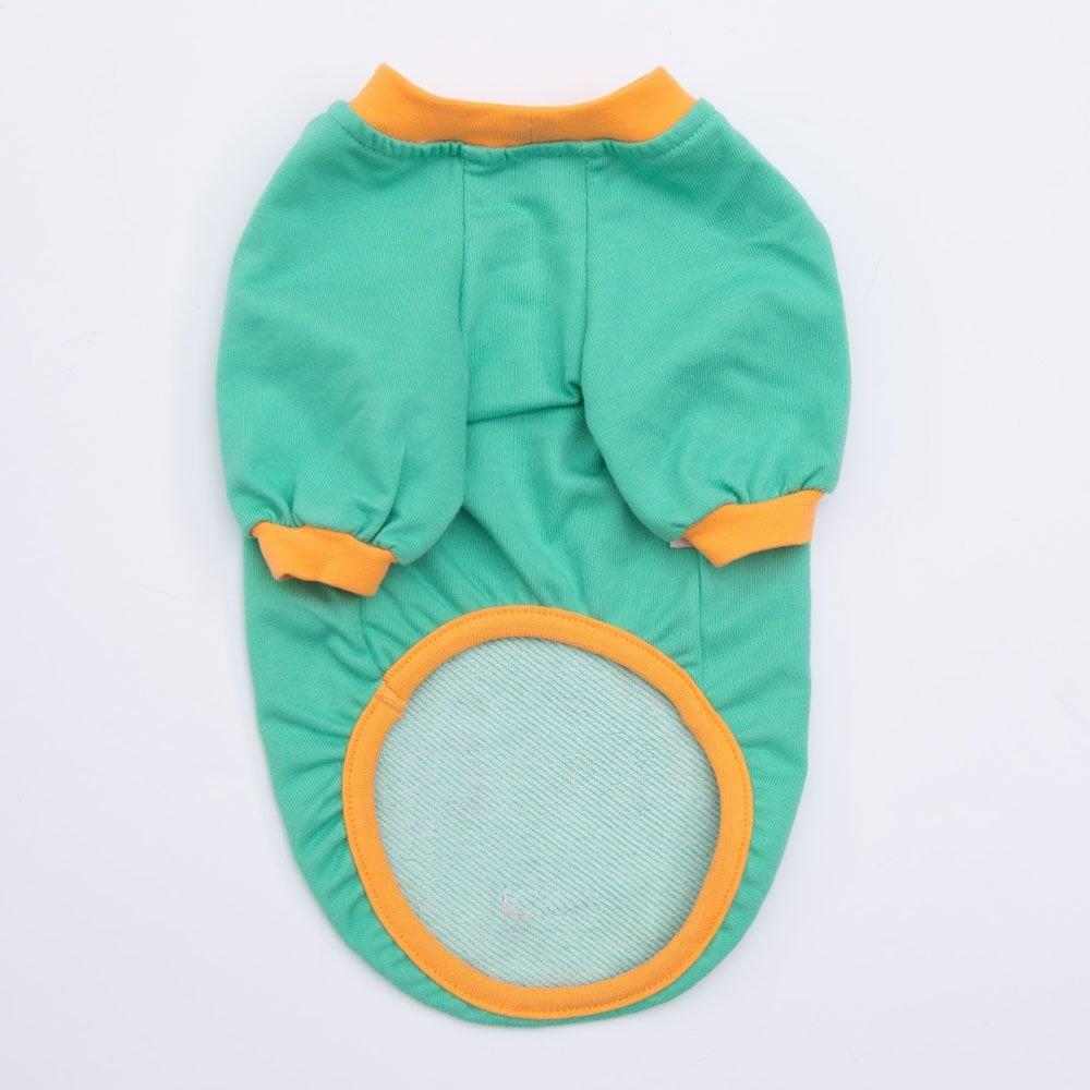 PawStar Mint Bone Hunter Sweat Küçük ve Orta Irk
