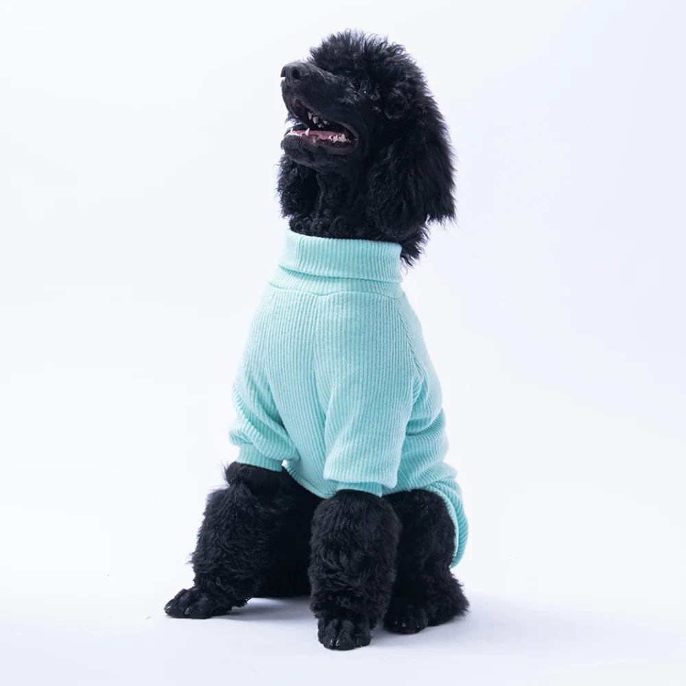 PawStar Mint Pooh's Ashdown Tigger Büyük Irk Triko Sweat