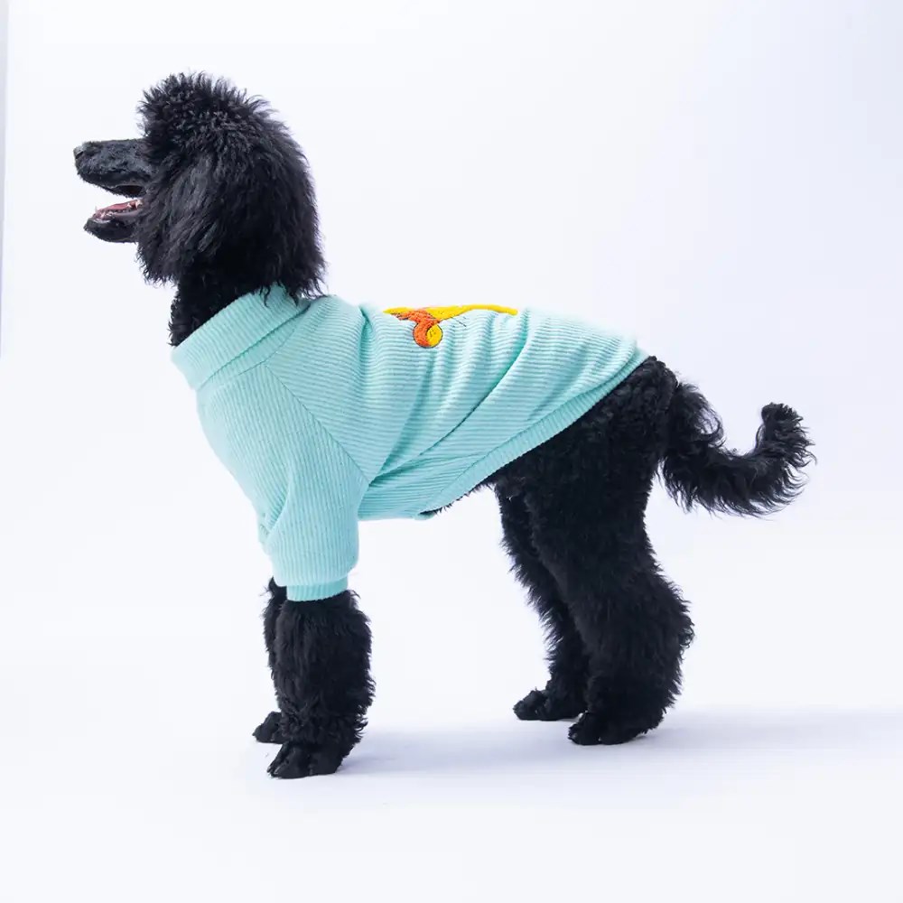 PawStar Mint Pooh's Ashdown Tigger Büyük Irk Triko Sweat
