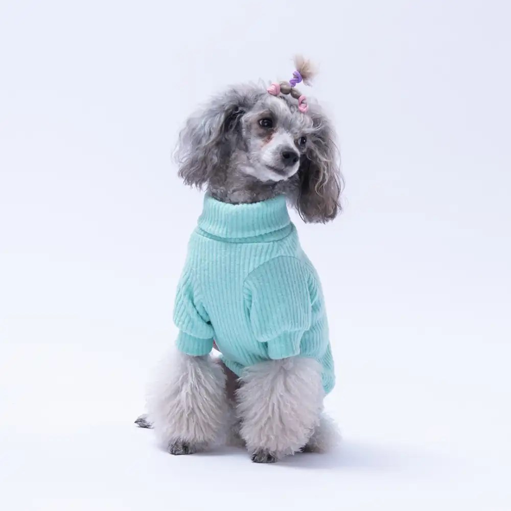 PawStar Mint Pooh's Ashdown Tigger Triko Sweat