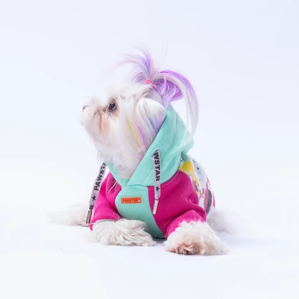 PawStar Mint Rio Hoodie Küçük ve Orta Irk