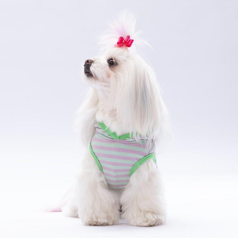 PawStar Mint Sunny Kapşonlu T-Shirt