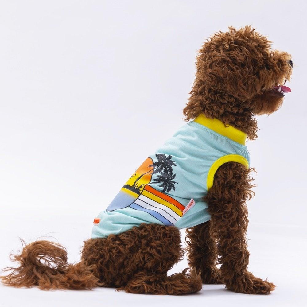 PawStar Mint Sunrise T-Shirt