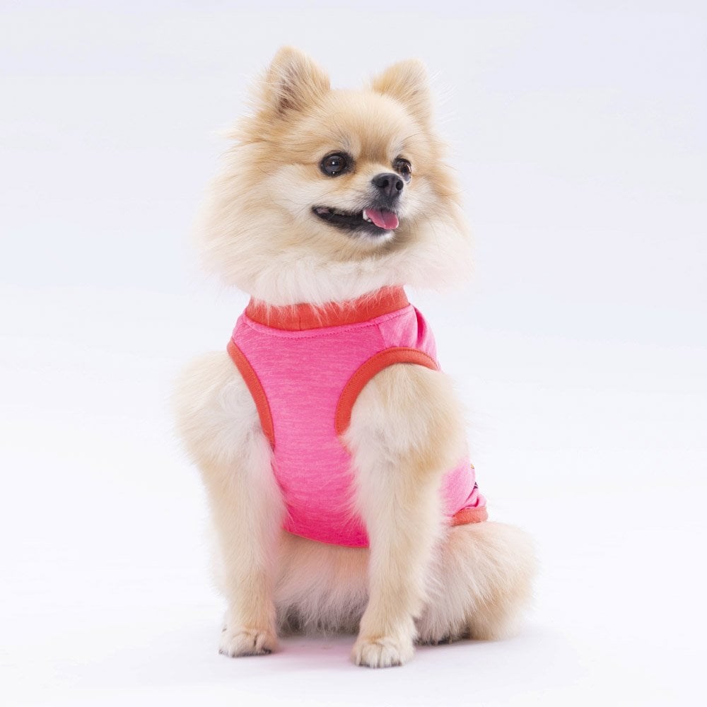 PawStar Neon Pink Be Kind T-Shirt Küçük Irk