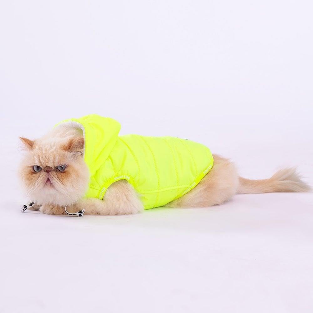 PawStar Neon Sarı Railway Küçük ve Orta Irk Yelek
