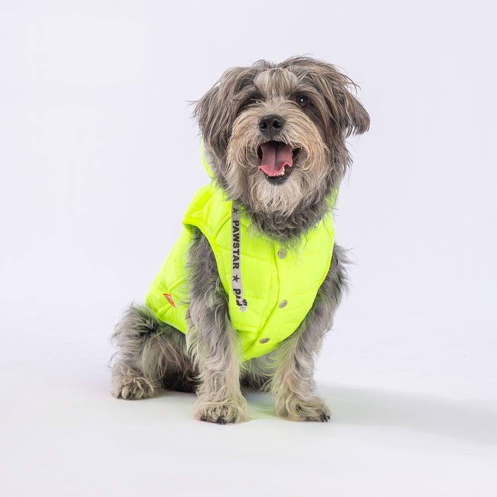 PawStar Neon Sarı Railway Küçük ve Orta Irk Yelek