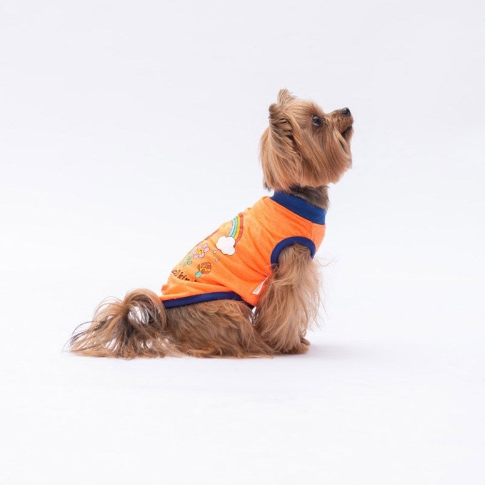 PawStar Neon Turuncu Be Kind T-Shirt Küçük Irk