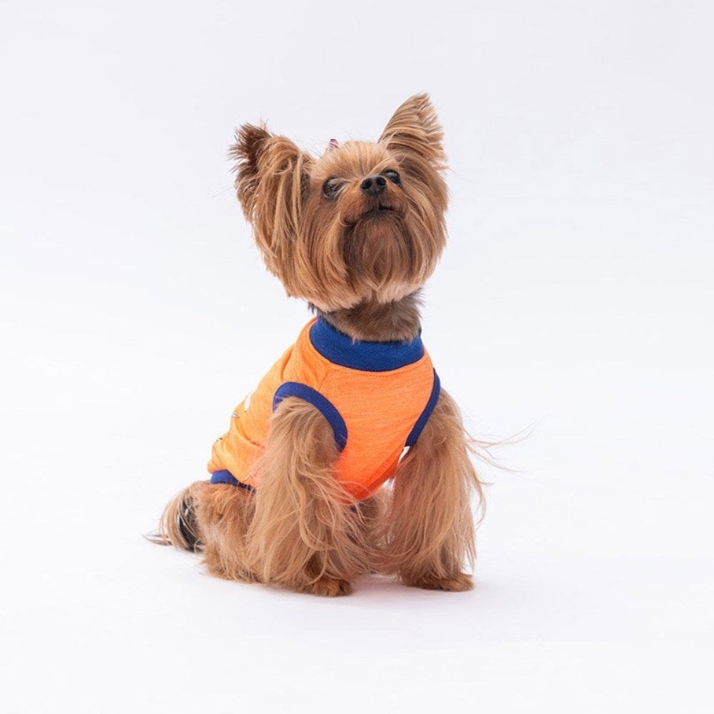 PawStar Neon Turuncu Be Kind T-Shirt Küçük Irk