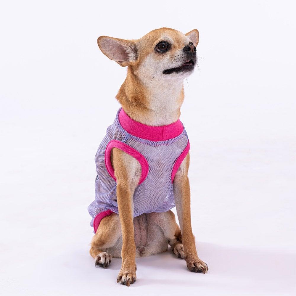 PawStar Our Flock Rocks Mesh T-Shirt