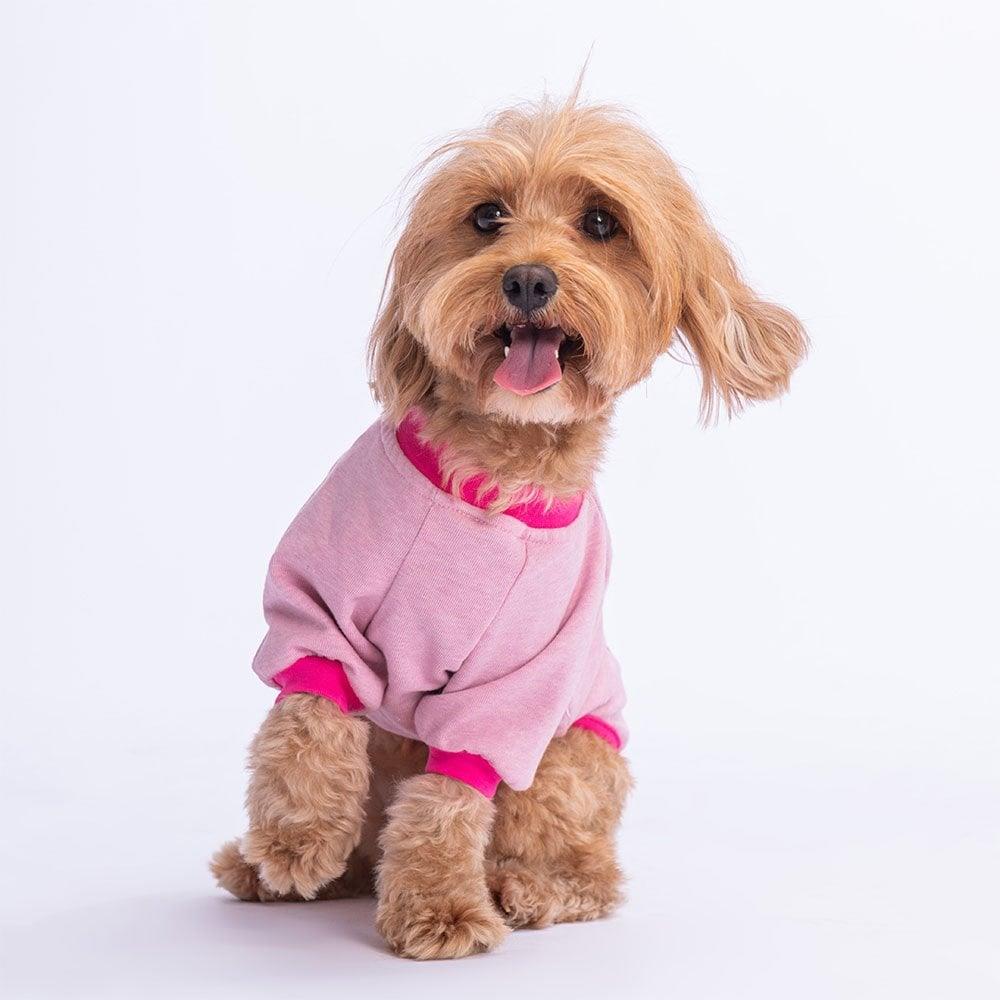 PawStar Pembe Bone Hunter Sweat Küçük ve Orta Irk
