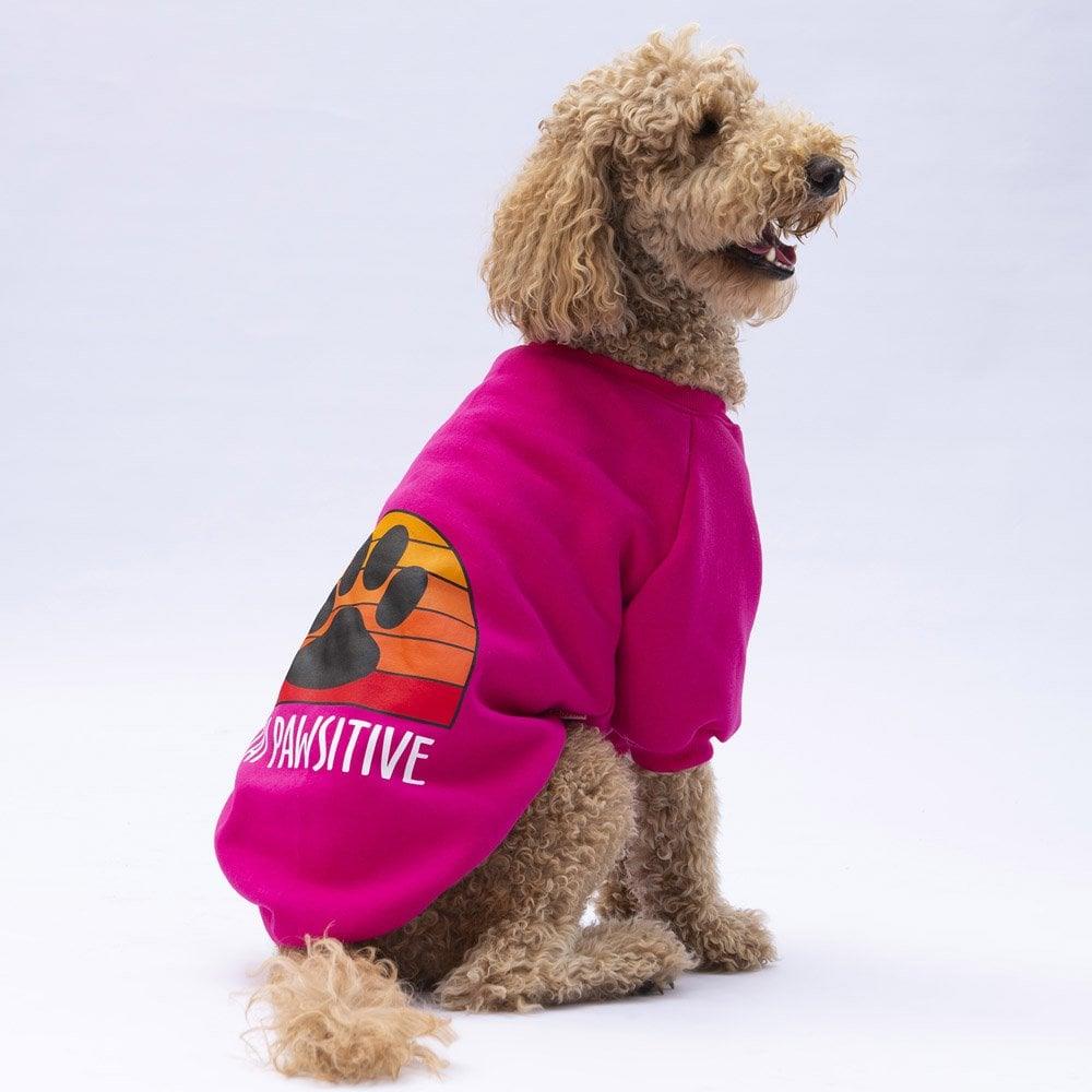 PawStar Pembe Carmel Büyük Irk Sweat