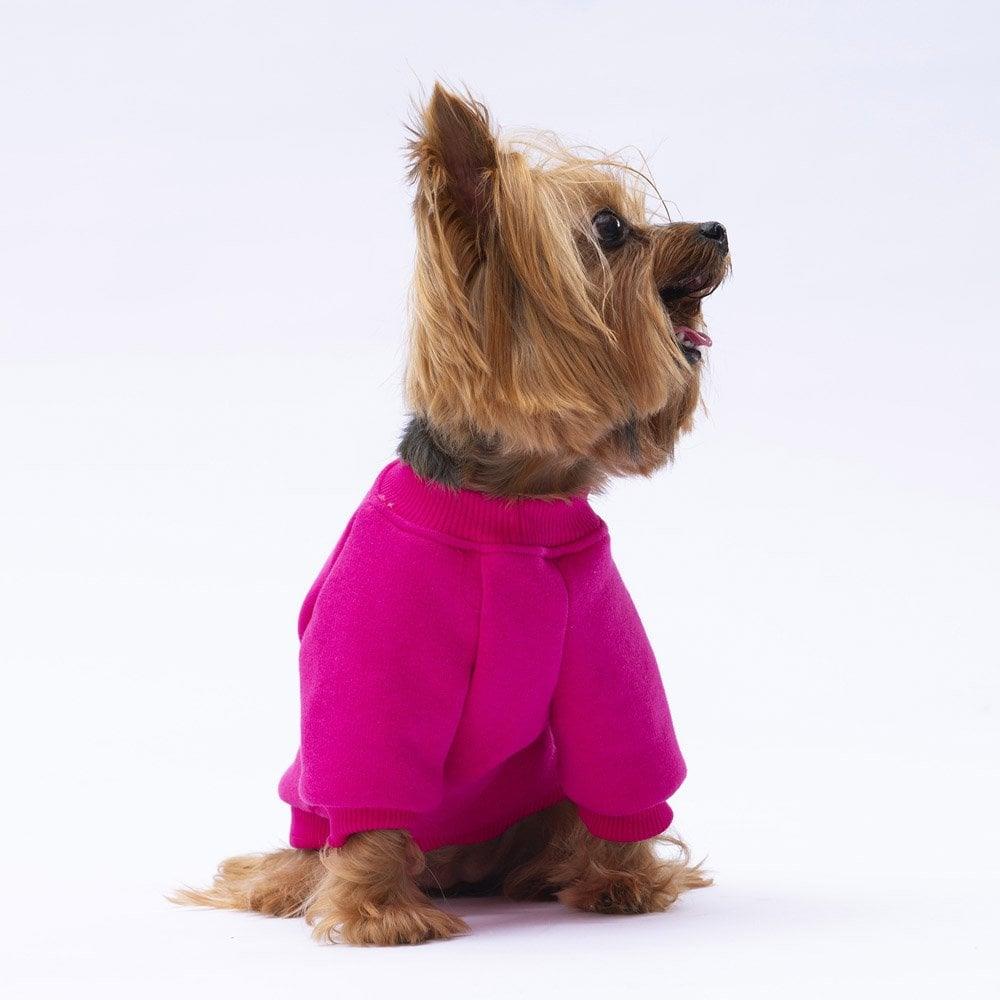 PawStar Pembe Carmel Sweat Küçük ve Orta Irk