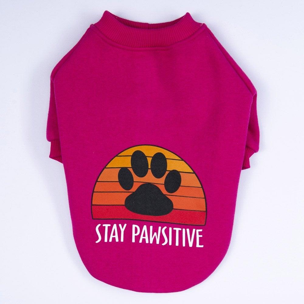 PawStar Pembe Carmel Sweat Küçük ve Orta Irk