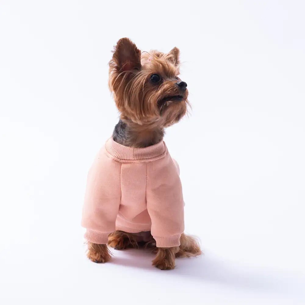 PawStar Pembe Dublin Hopper Sweat