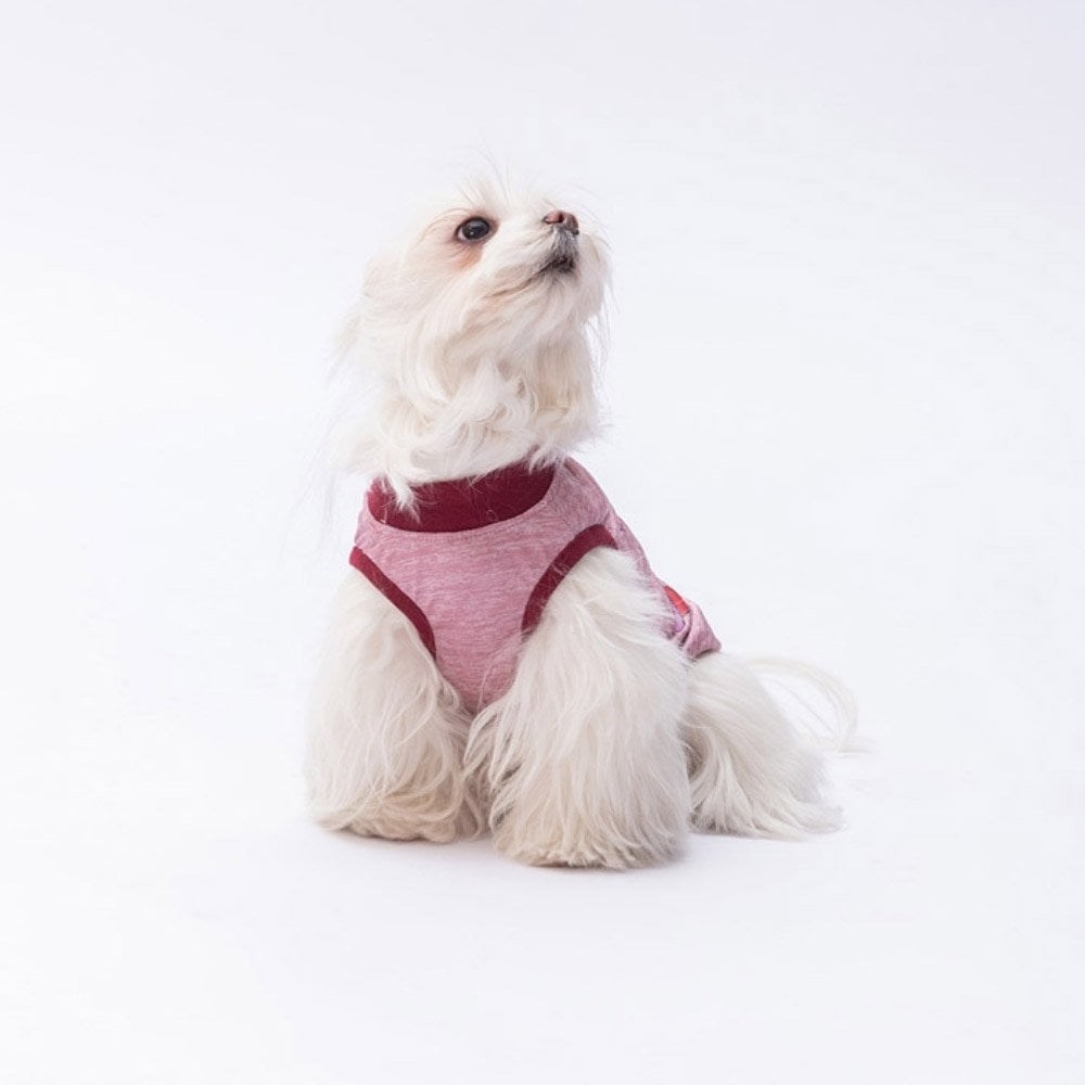 PawStar Pembe Space Time T-Shirt Küçük Irk