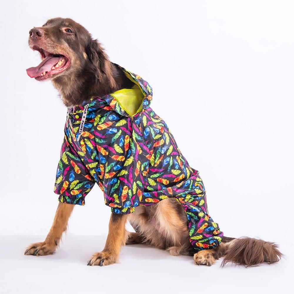 PawStar Plumis  Büyük Irk Yağmurluk