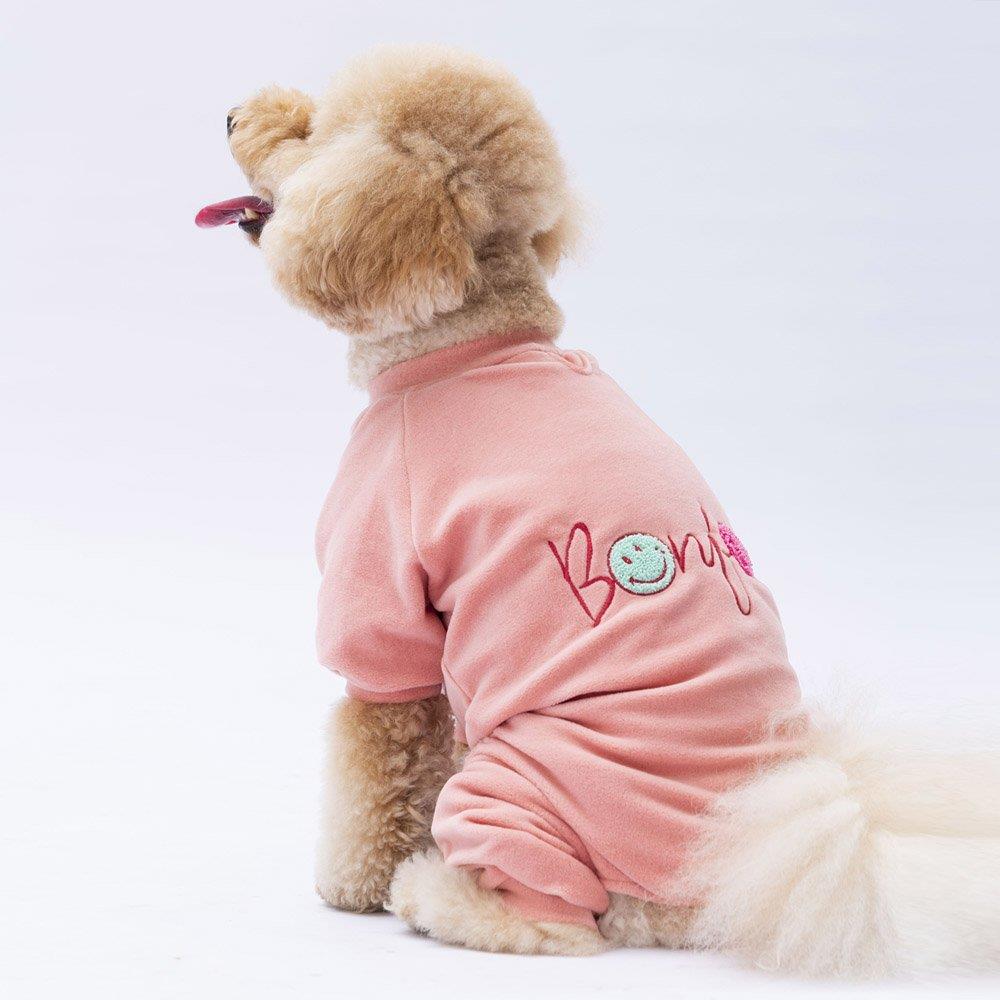PawStar Rose Angers Tulum Küçük ve Orta Irk