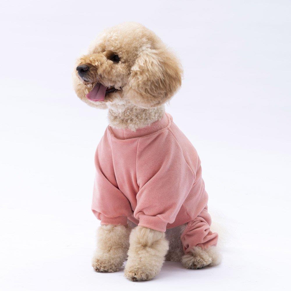 PawStar Rose Angers Tulum Küçük ve Orta Irk