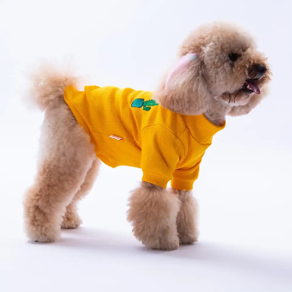 PawStar Sarı Cactus Kaşkorse Sweat