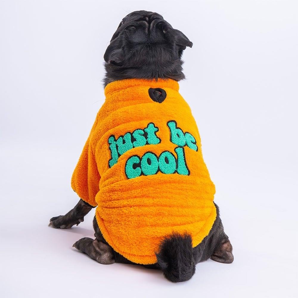 PawStar Sarı Just Be Cool Küçük ve Orta Irk Sweat