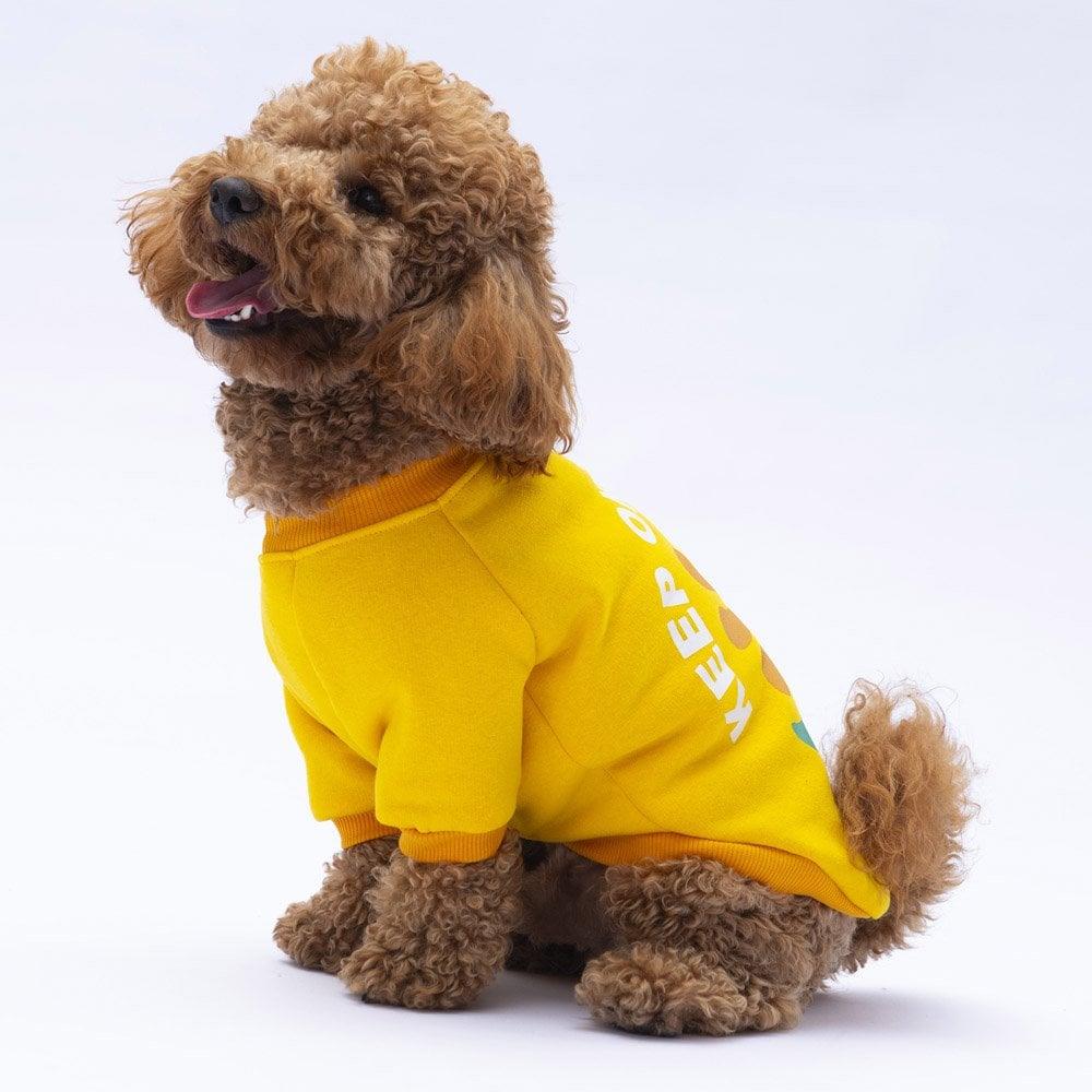 PawStar Sarı Lahti Sweat Küçük ve Orta Irk